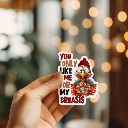 Funny You Only Like Me Vinyl Sticker