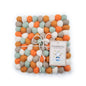 Friendsheep Pumpkin Patch Eco Coasters and Trivets