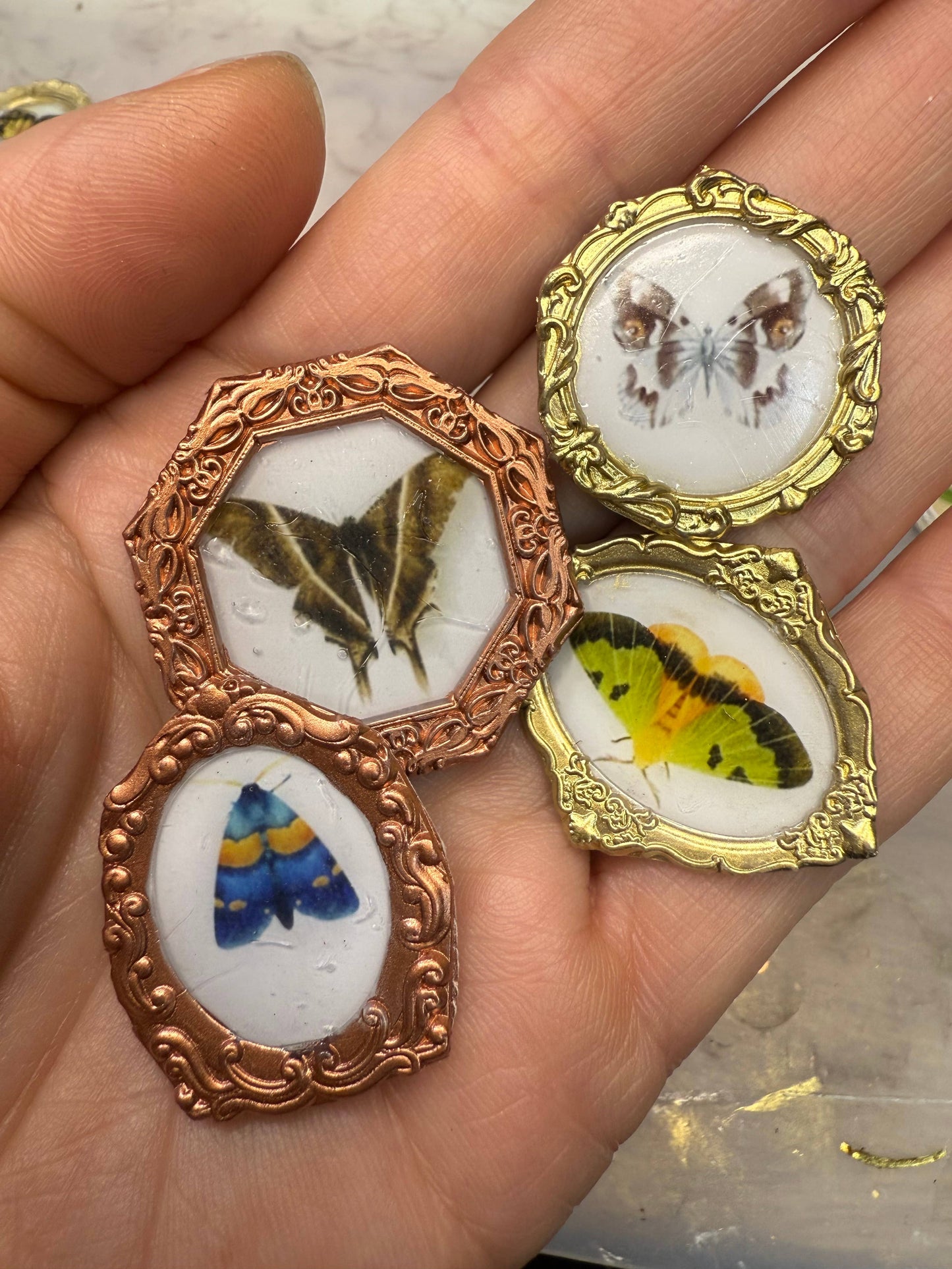 Moth magnets (Set of 4 per item) butterflies 