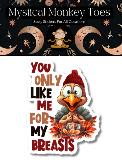 Funny You Only Like Me Vinyl Sticker