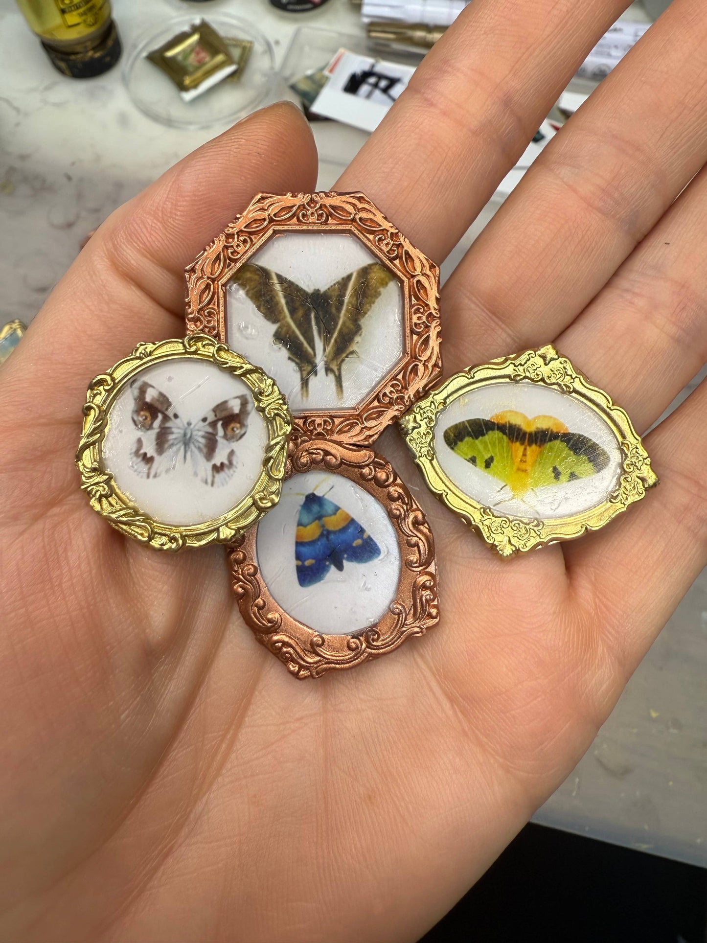 Moth magnets (Set of 4 per item) butterflies 