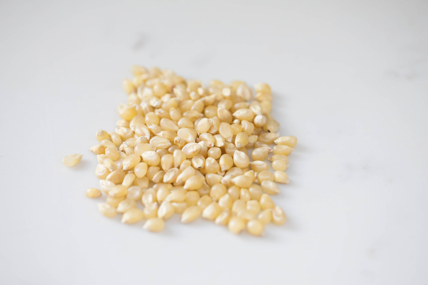 25lb. Bag of Medium White Hulless Popcorn