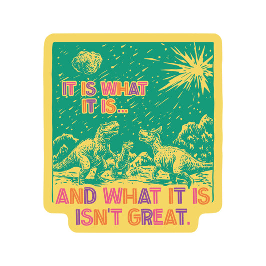 It Is What It Is Dinosaur Meteor High Quality Vinyl Sticker