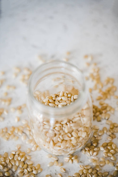 25lb. Bag of Medium White Hulless Popcorn
