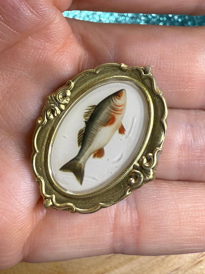 Fish Magnets -Miniature Framed Art 