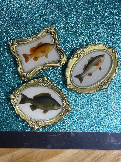 Fish Magnets -Miniature Framed Art 