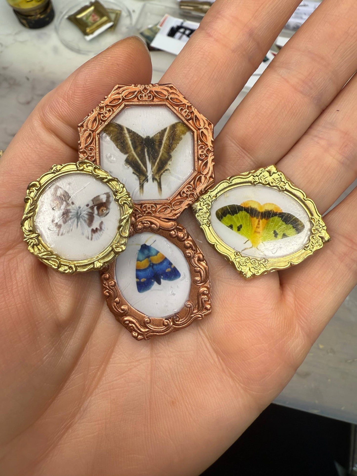 Moth magnets (Set of 4 per item) butterflies 