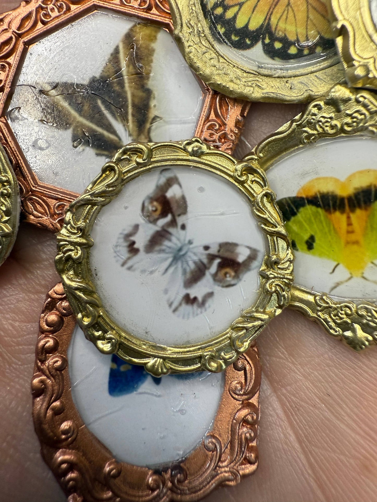 Moth magnets (Set of 4 per item) butterflies 