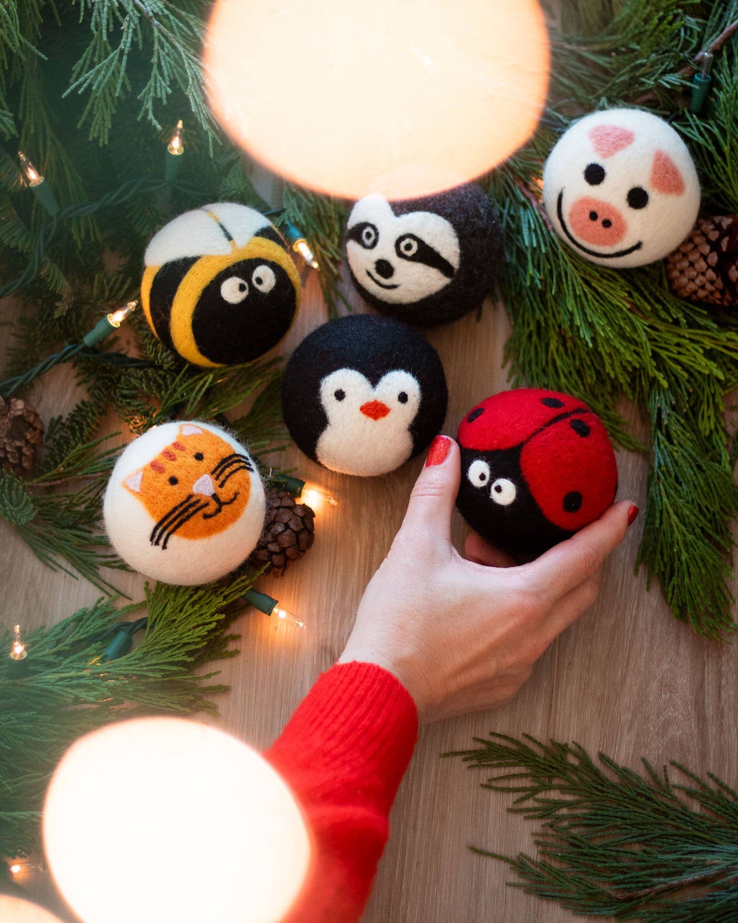 Friendsheep Critter Camp Eco Wool Dryer Balls - Set of 6