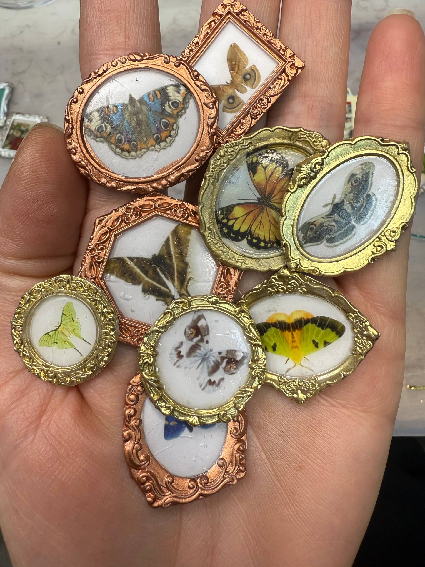 Moth magnets (Set of 4 per item) butterflies 