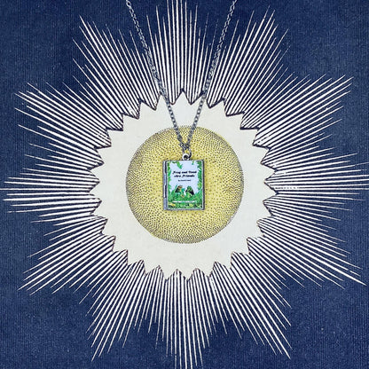 Book Locket Necklace - Frog and Toad Are Friends