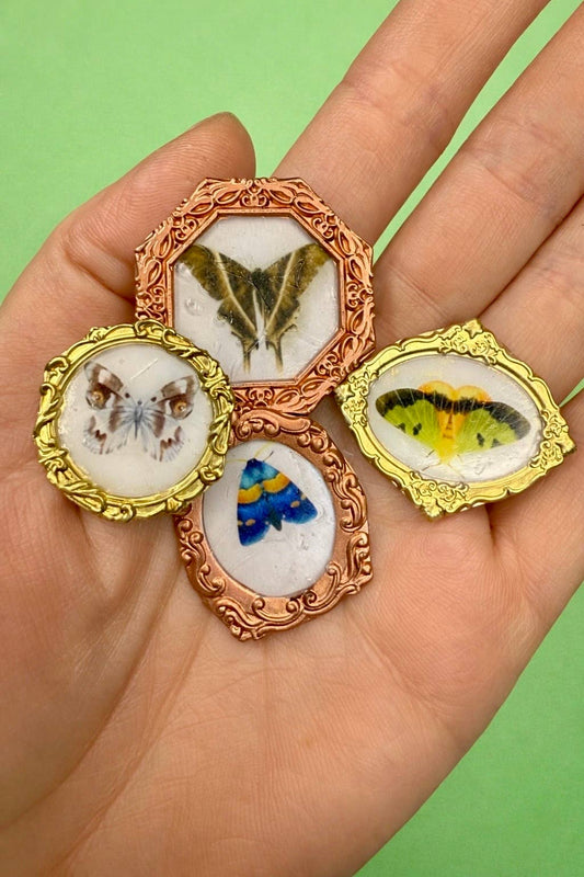 Moth magnets (Set of 4 per item) butterflies 