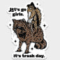 Let's Go Girls Sticker Decal, Funny Sticker, Racoon, Western